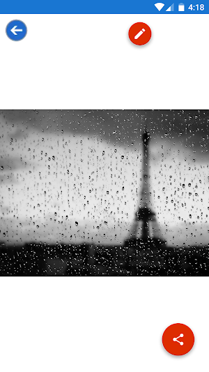 Water Drop, Water, Rain, Boardwalk Wallpapers Screenshot 3