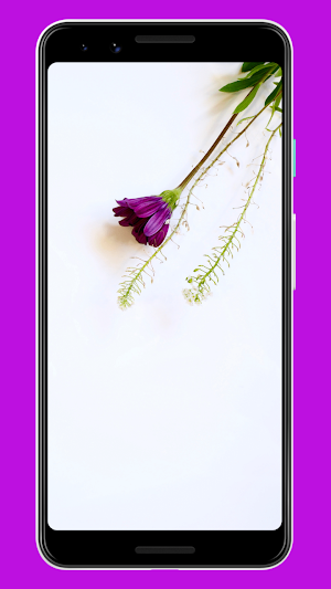 Flowers Wallpaper & Background Screenshot 2