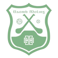 St Mullins GAA
