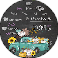 BFF15 - Thanksgiving day Car