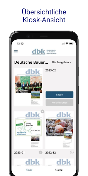 dbk online Screenshot 0