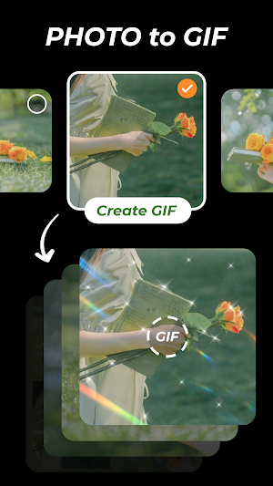 Gif to video: Gif to mp4 Screenshot 3