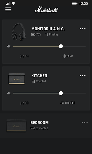 Marshall Bluetooth Screenshot 0