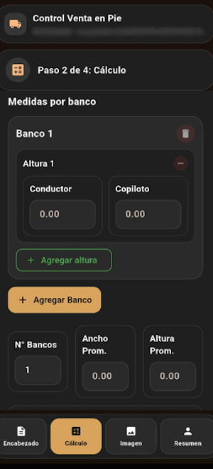 VyV: Control Maderas Screenshot 3