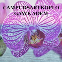 CAMPURSARI KOPLO GAWE ADEM