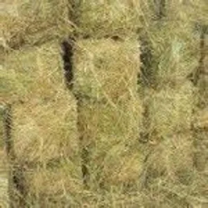 Simple Wooden Box for Hay Production Screenshot 0