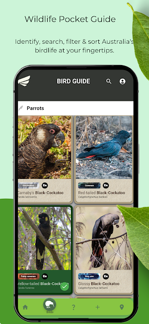 Wingmate Birds of Australia Screenshot 0