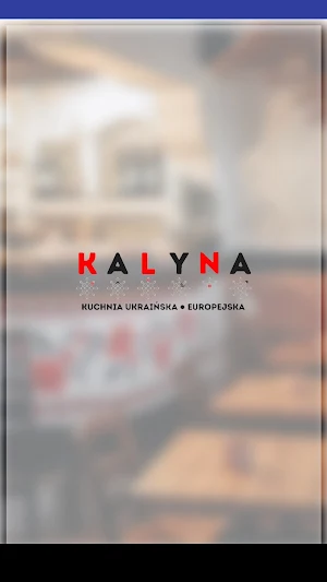 Kalyna Lublin Screenshot 0