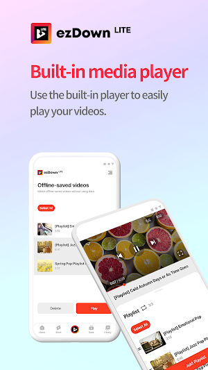 ezDown LITE Screenshot 0