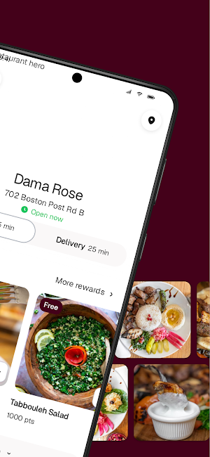 Dama Rose Screenshot 1