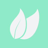 Mint Lol - Mint Solana NFTs