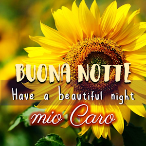 Buona notte 2023 Screenshot 0