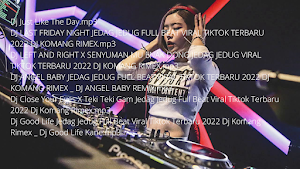 Dj Campuran Screenshot 0