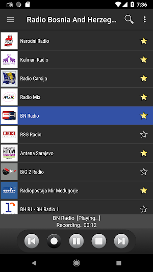 Radio Bosnia and Herzegovina Screenshot 3