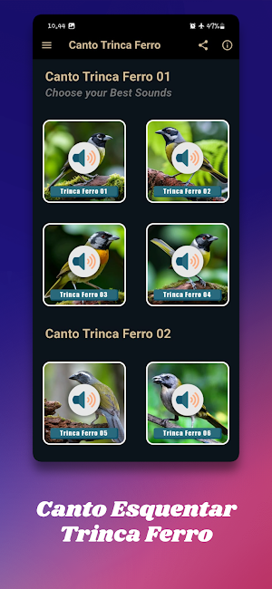 Canto Esquentar Trinca Ferro Screenshot 1