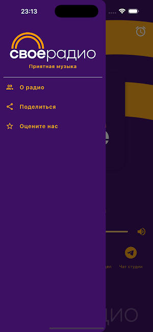 Своё радио Screenshot 3