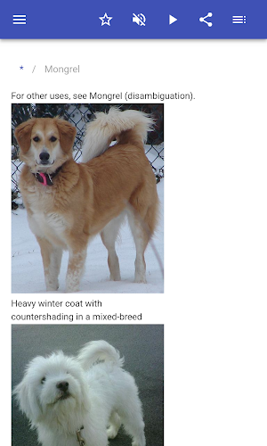 Dog breeds Screenshot 1