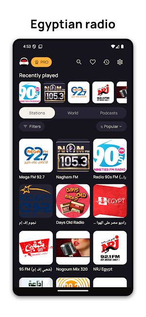 Egypt Radio FM Online Screenshot 0