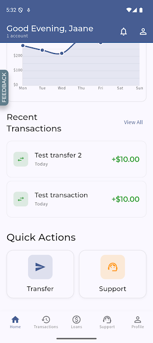 BankSync Screenshot 1
