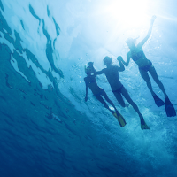 Snorkeling Wallpaper