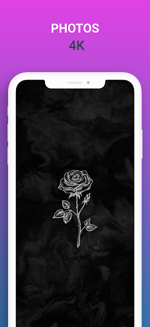 Dark Wallpaper Black HD And 4K Screenshot 2