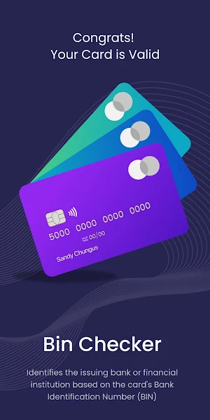 Card Wallet: NFC & BIN Checker Screenshot 1