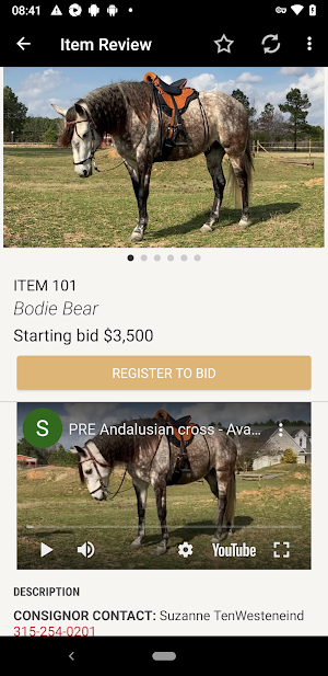 Magic Horse Auction Screenshot 2