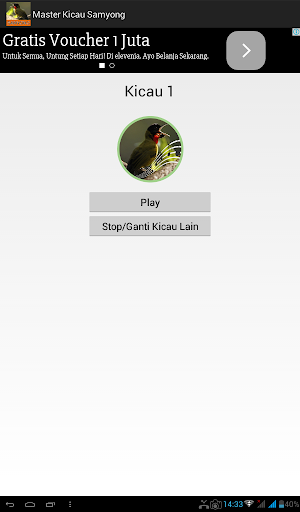 Master Kicau Samyong Screenshot 2