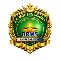 BR New Modern School