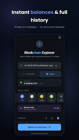 Blockchain Explorer Screenshot 1
