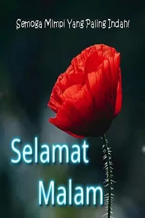 Ucapan Selamat Malam Screenshot 3