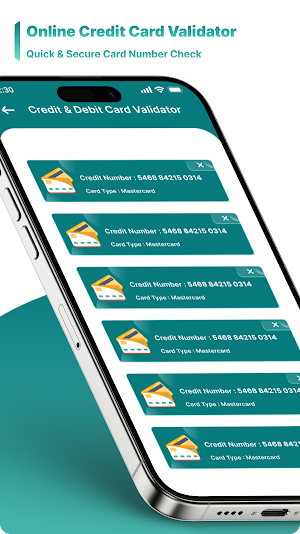 Online Credit Card Validator Screenshot 1