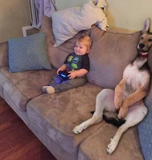 Funny Pics Screenshot 1