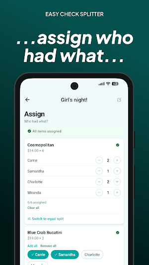 Easy Check Splitter Screenshot 3