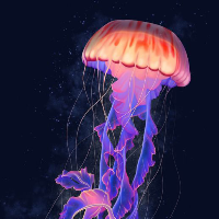 Jellyfish Wallpapers