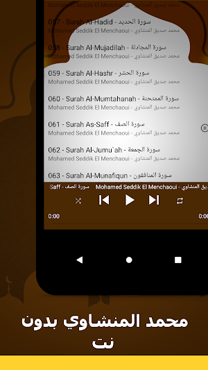محمد المنشاوي قرآن بدون نت Screenshot 3