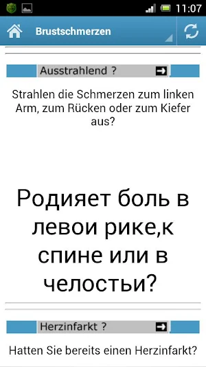 MedTrans-russisch Screenshot 2