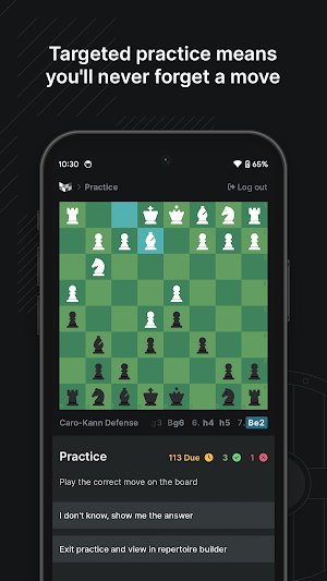Chessbook Screenshot 3