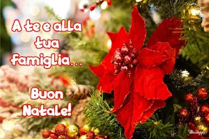 Buon Natale e Buon Anno 2023 Screenshot 0