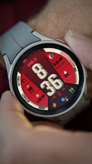 RW95 Chrono Ion View Screenshot 1