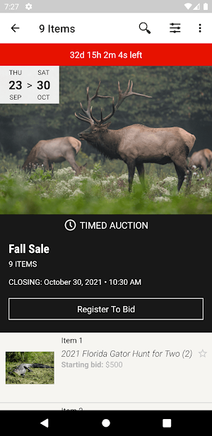 SFW Auctions Screenshot 1