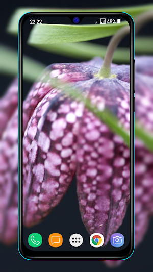 Wallpaper for Nokia Wallpapers Screenshot 1
