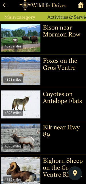 Wildlife Drives Screenshot 3