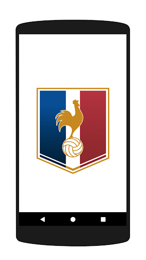 French Soccer Live Screenshot 0