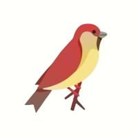 Sound of Bird: Natural Habitat