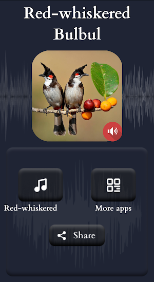 Red-whiskered Bulbul Sounds Screenshot 1