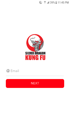 Silver Dragon Kung Fu Screenshot 0