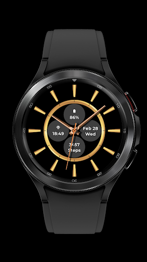Gold Watch Face Screenshot 1