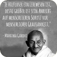 Schönsten Zitate und Sprüche