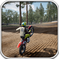 Ultimate Racing Experience 3D